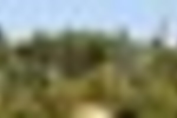 tiny_thumb_teleferico_e_penha_5467