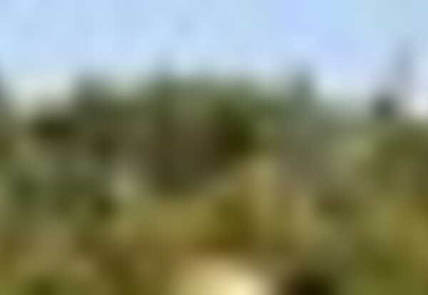 tiny_thumb_teleferico_e_penha_5467