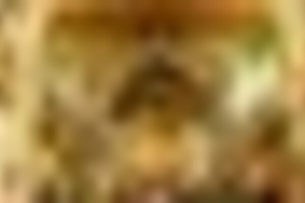 tiny_thumb_igreja_s_francisco_8874