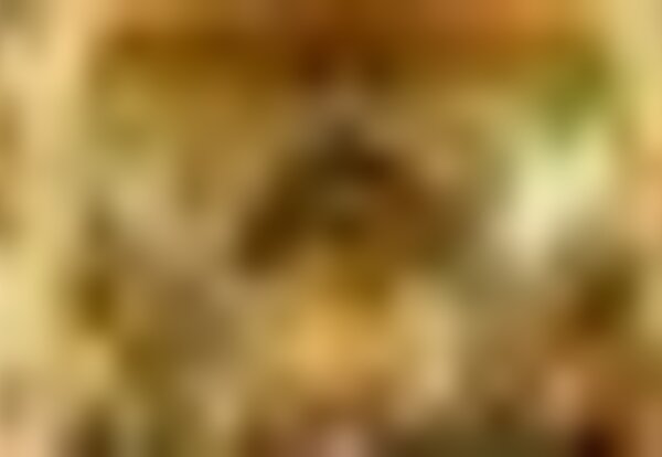 tiny_thumb_igreja_s_francisco_8874