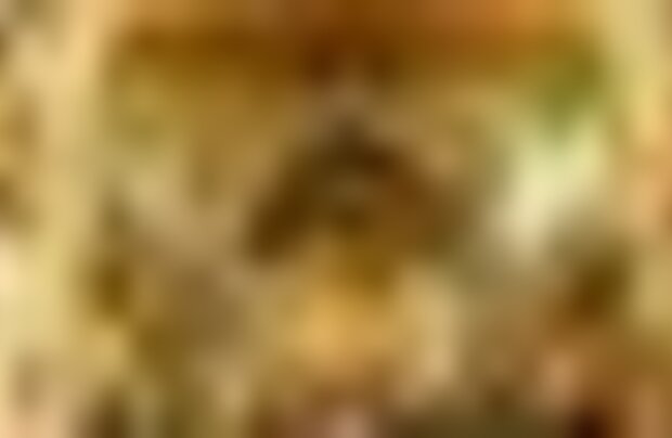 tiny_thumb_igreja_s_francisco_8874