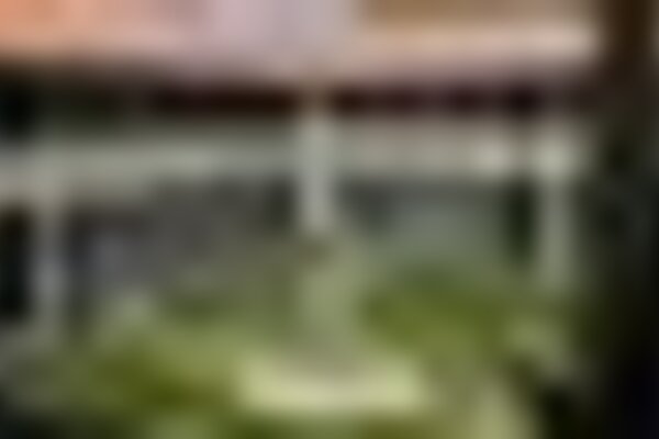 tiny_thumb_camara_3096