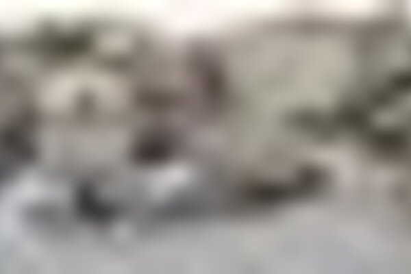 tiny_thumb_couros_3145