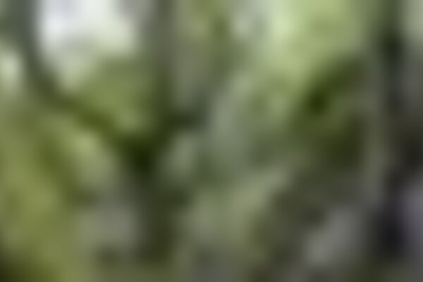 tiny_thumb_penha_2199