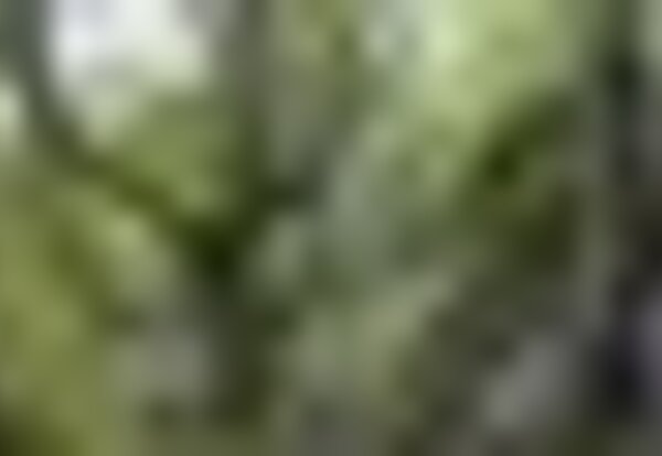 tiny_thumb_penha_2199