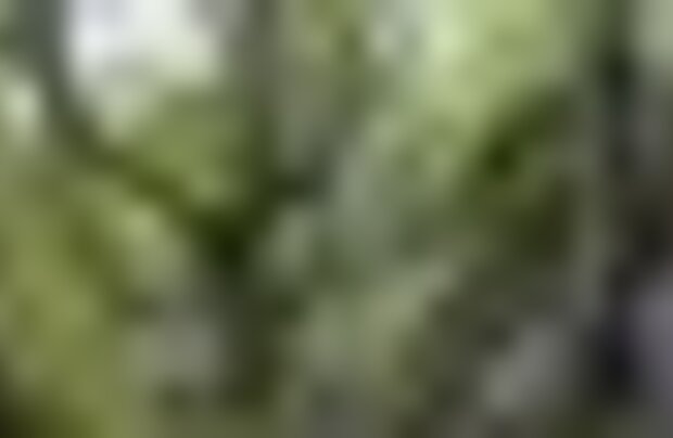 tiny_thumb_penha_2199