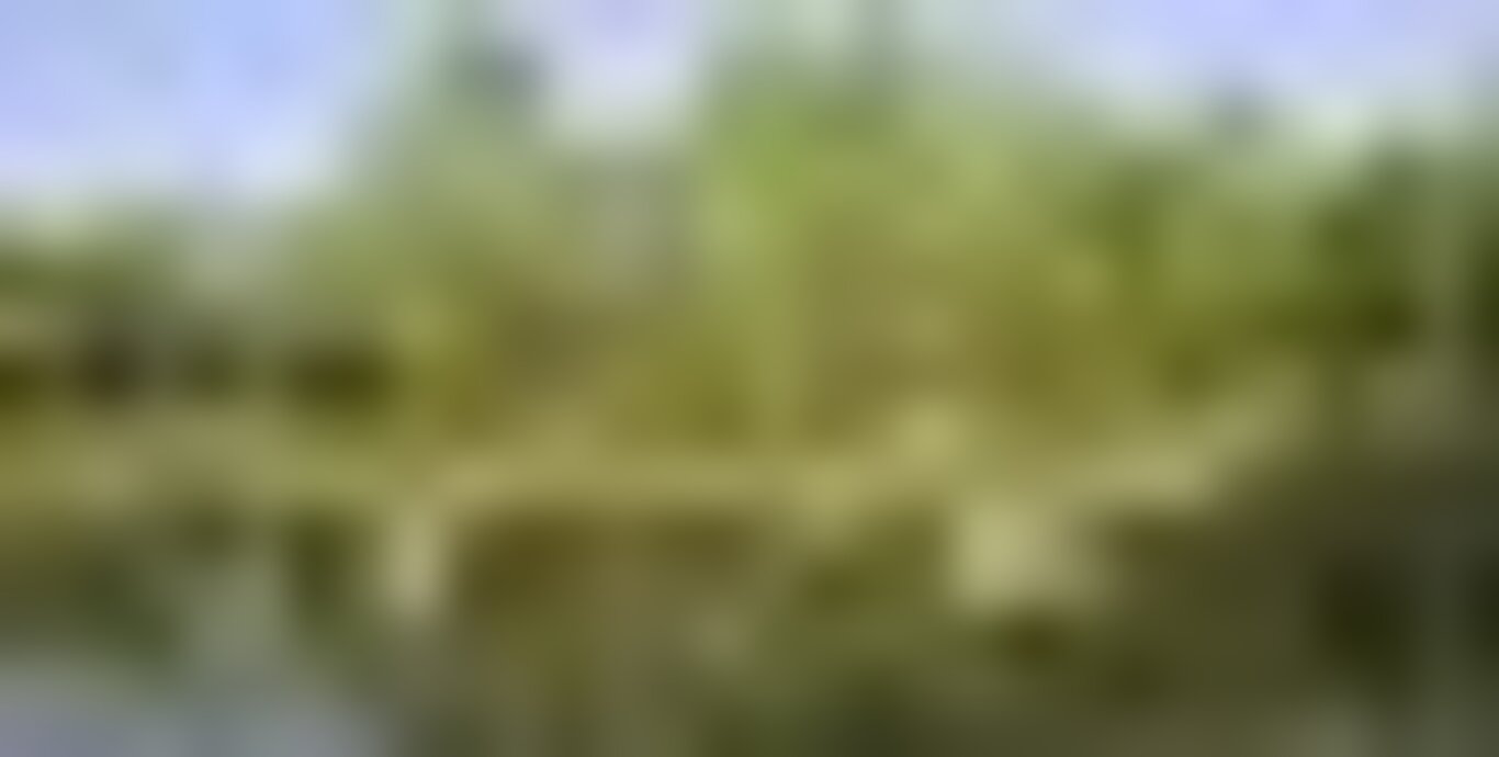 tiny_thumb_parque_cidade_4213