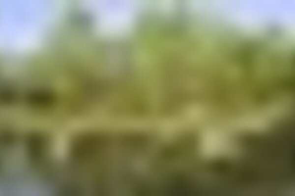 tiny_thumb_parque_cidade_4213