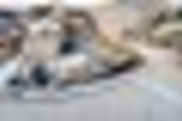 tiny_thumb_couros_2_2