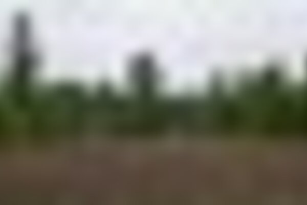 tiny_thumb_foto7