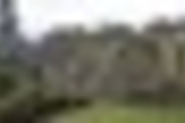 tiny_thumb_moinhovaqueiro__1_