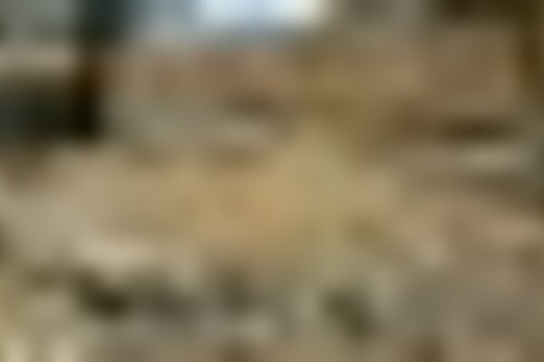 tiny_thumb_castro_sabroso_2656