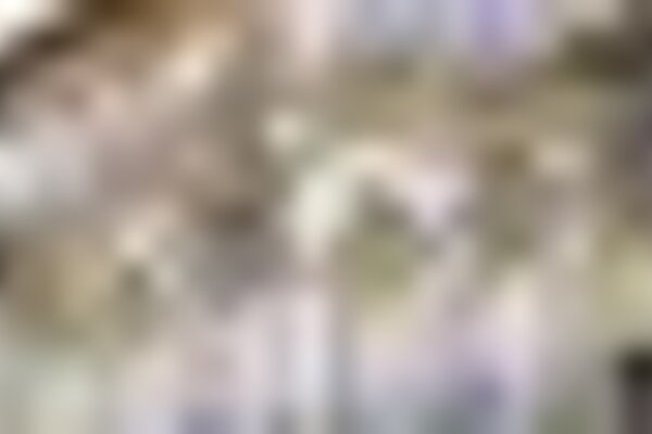 tiny_thumb_casa_lobos_machados_13c0919