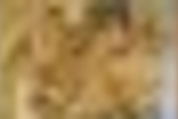 tiny_thumb_frescos_s_francisco_17c1305