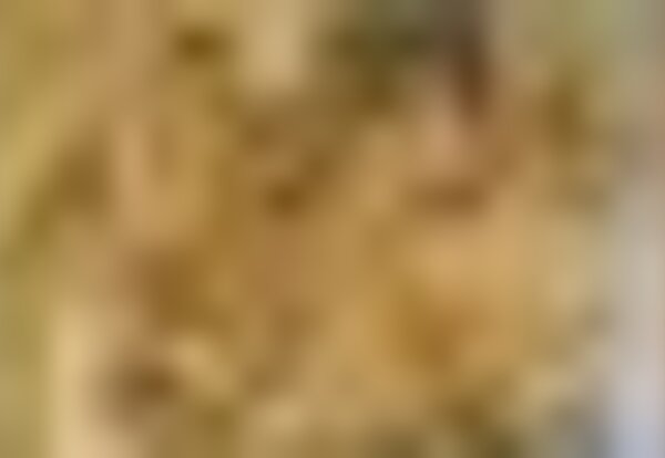 tiny_thumb_frescos_s_francisco_17c1305