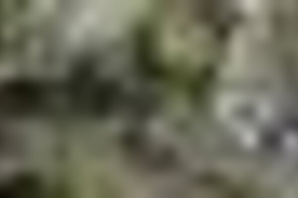tiny_thumb_conjunto2_redimensionado