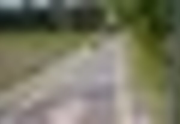 tiny_thumb_ecovia21_220