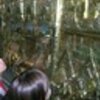 thumb_imagem_4___magia_do_natal