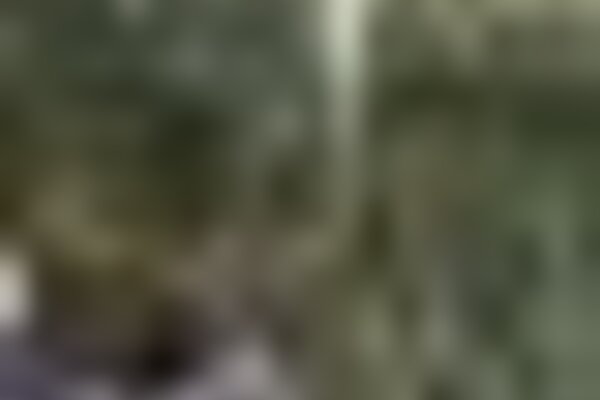 tiny_thumb_imagem_4___magia_do_natal
