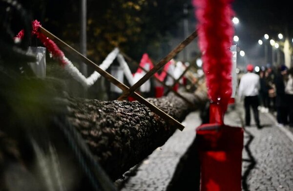 nicolinas_2_1_2500_2500