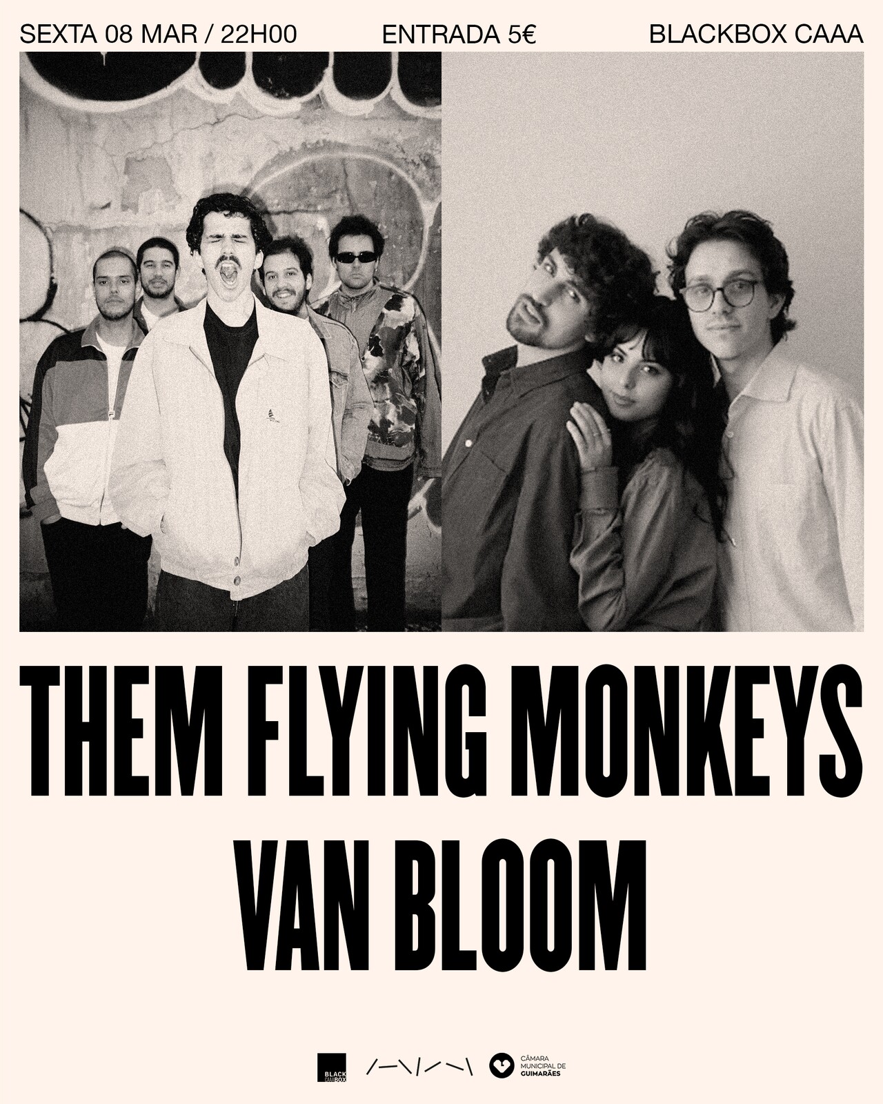 THEM FLYING MONKEYS / VAN BLOOM
