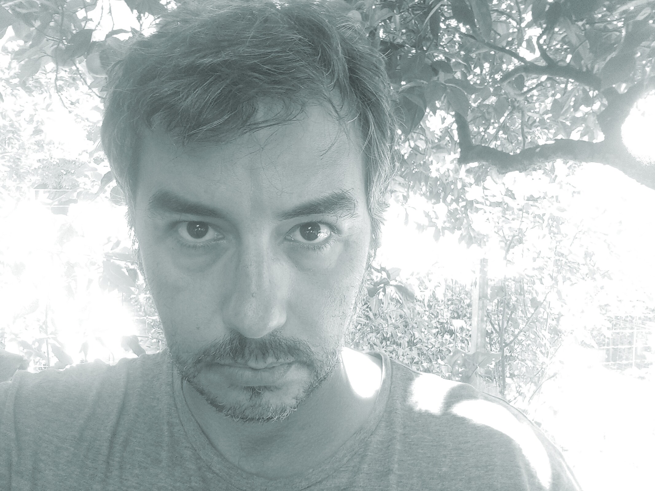 João do Vale 