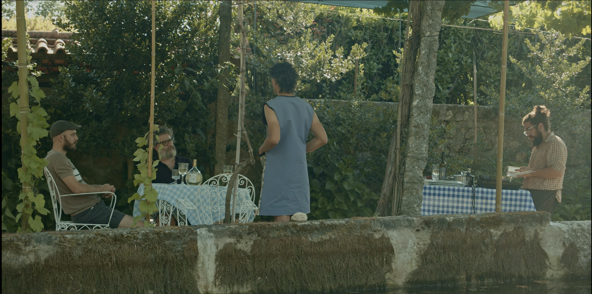 imagem2
