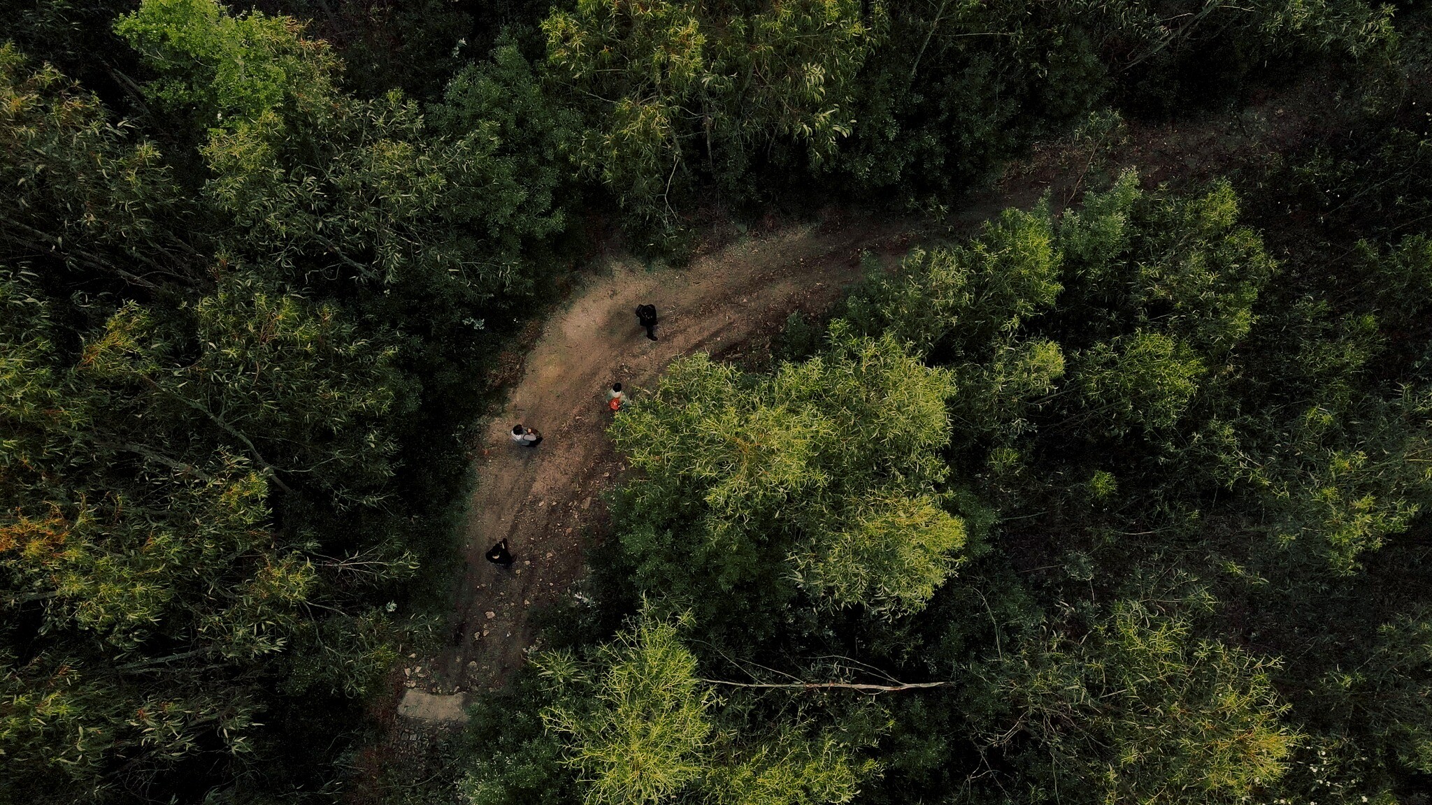 extremo_festival