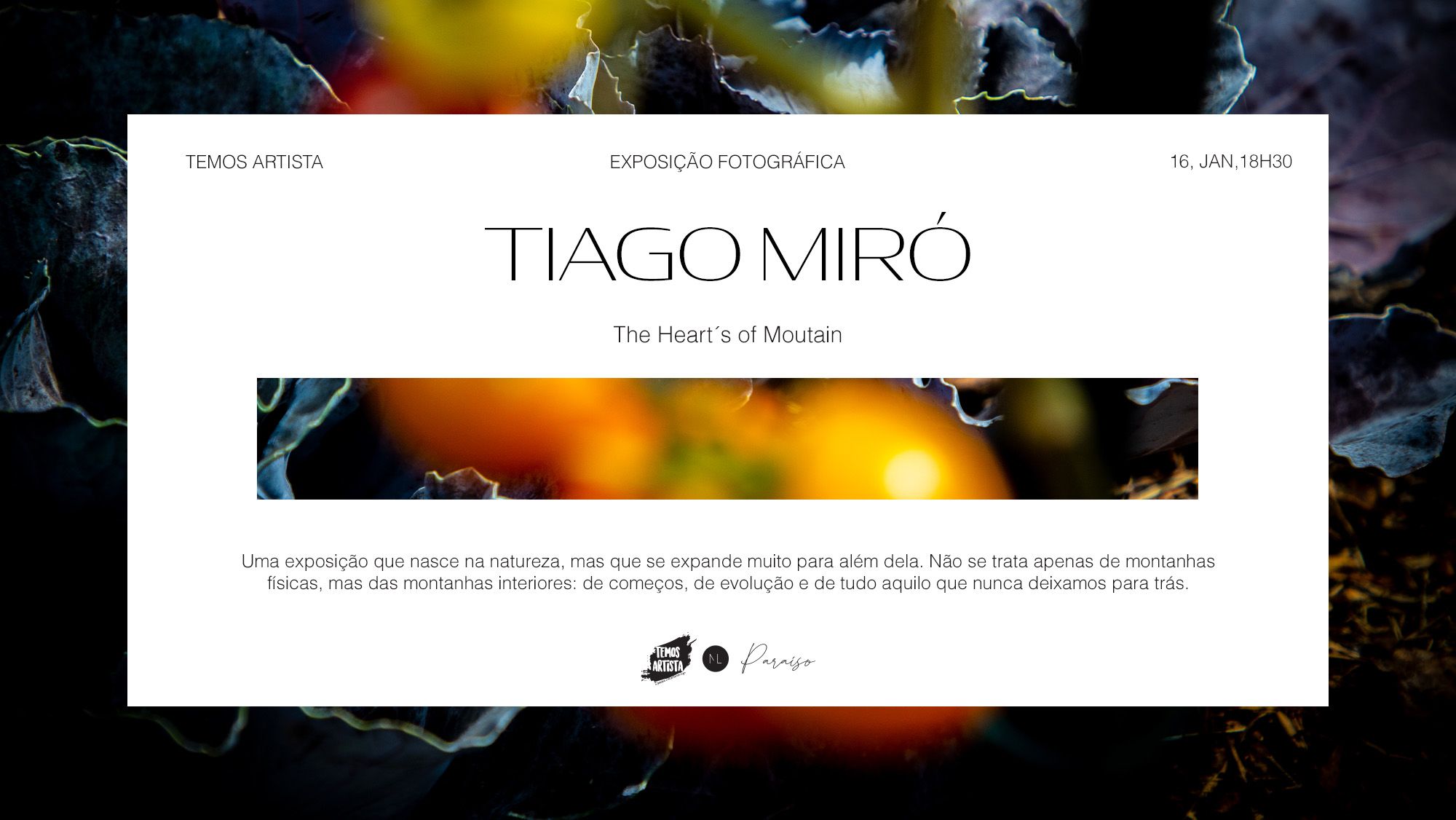 carregar_multimdia_at_20mb_temos_artista_fb