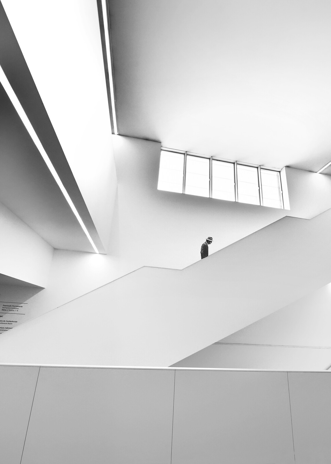 O Insustentável Peso Do Ter - Jorge Pimenta