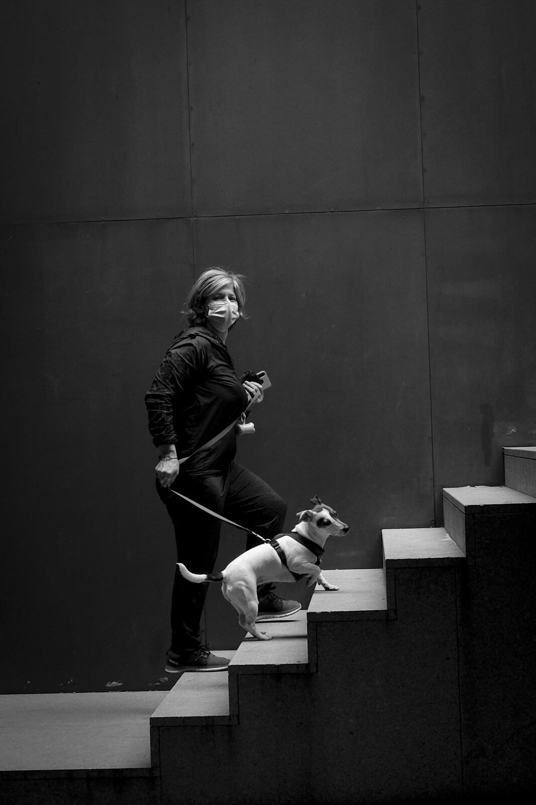 Para Cima - Carlos Elisio