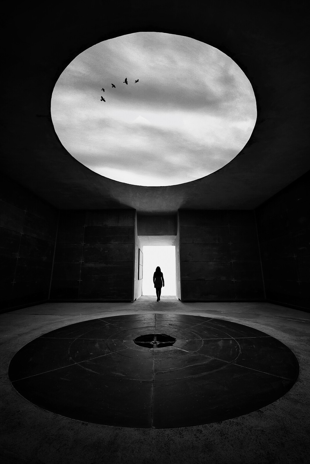 Walking With The Birds - Jorge Pimenta